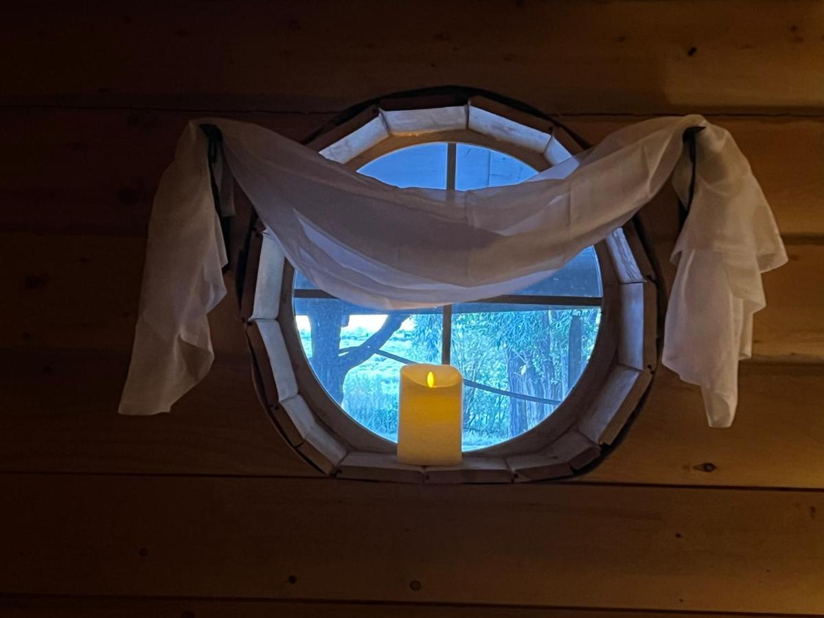 The Gratitude Homestay Аламоса Экстерьер фото